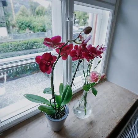 Clara Erdgeschosswohnung Im Juedischen Viertel 아파트 호헤넴스
